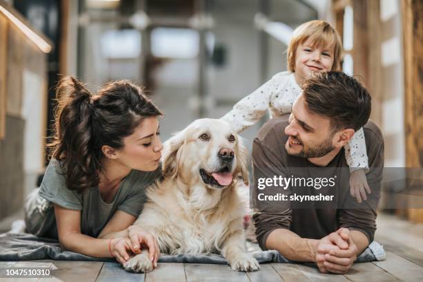 young happy family enjoying with their golden retriever at home. - family dogs stock pictures, royalty-free photos & images