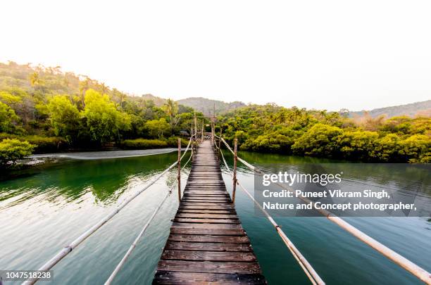 a walkway bridge made of wooden planks and leading to an island - goa - fotografias e filmes do acervo