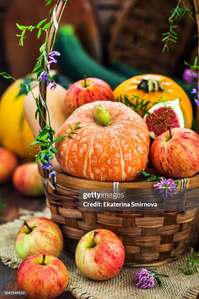 Autumnal colorful pumpkins, apples and figs on rustic background, Hallloween or Thanksgiving concept