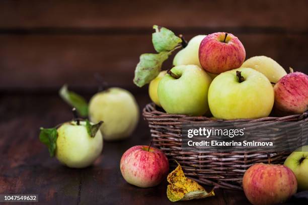 fresh ripe colorful apples in basket on rustic wooden background - cutting green apple stock pictures, royalty-free photos & images