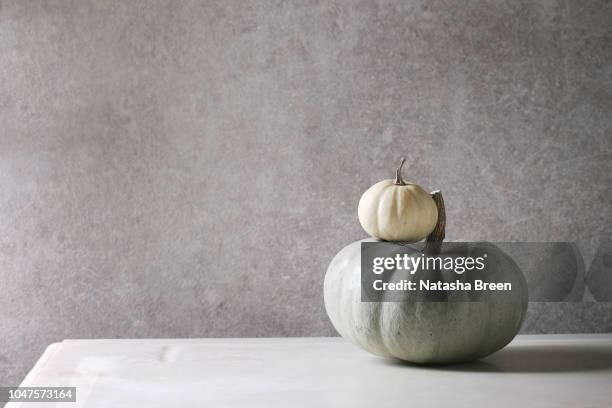 grey and white pumpkins - white marble table stock pictures, royalty-free photos & images