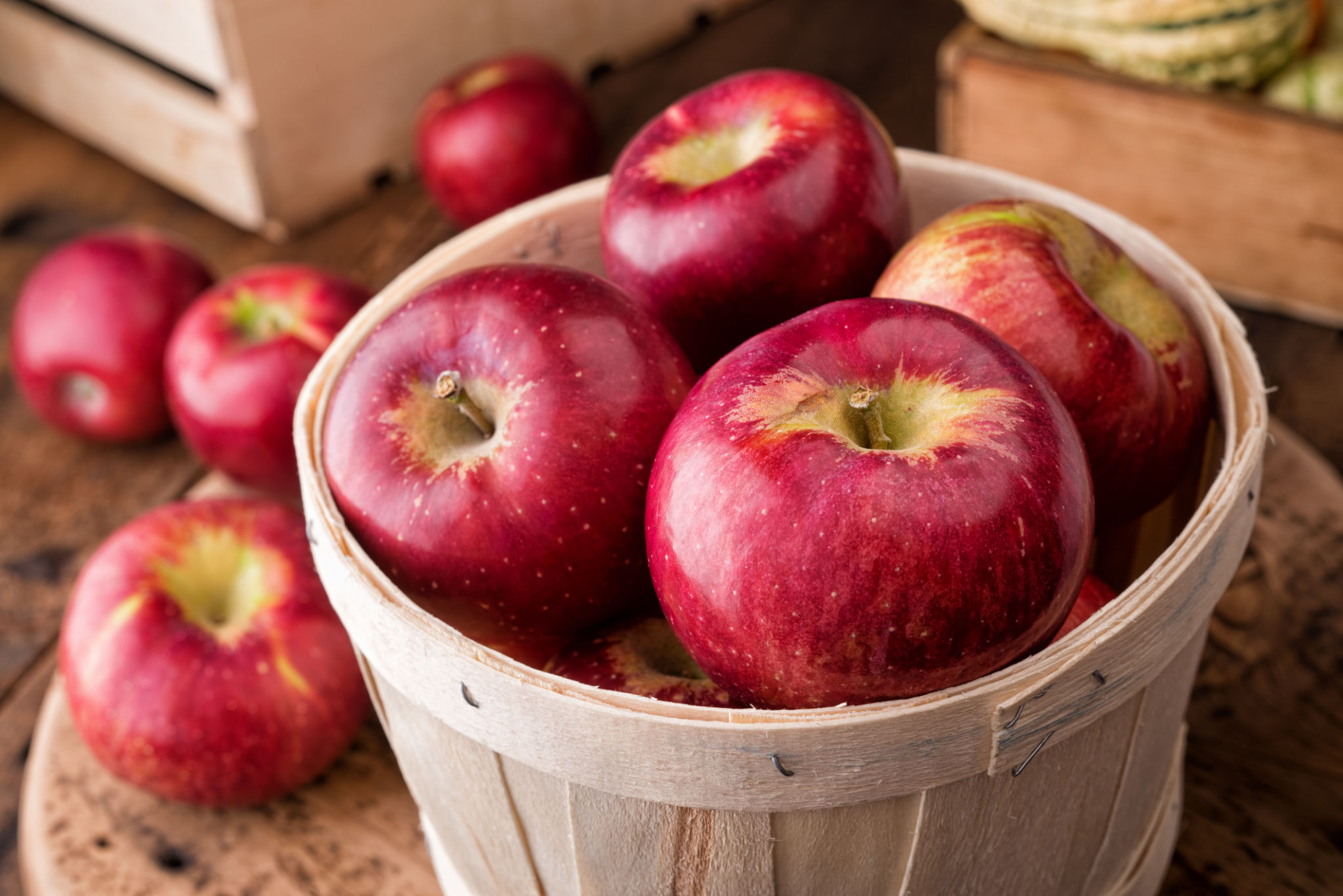 autumn harvest
