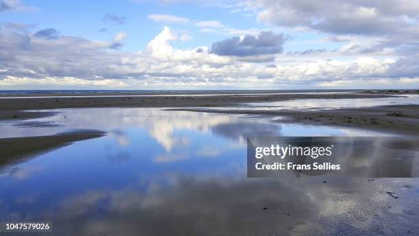 the northern coast of vlieland, wadden islands, the netherlands - vlieland stock pictures, royalty-free photos & images