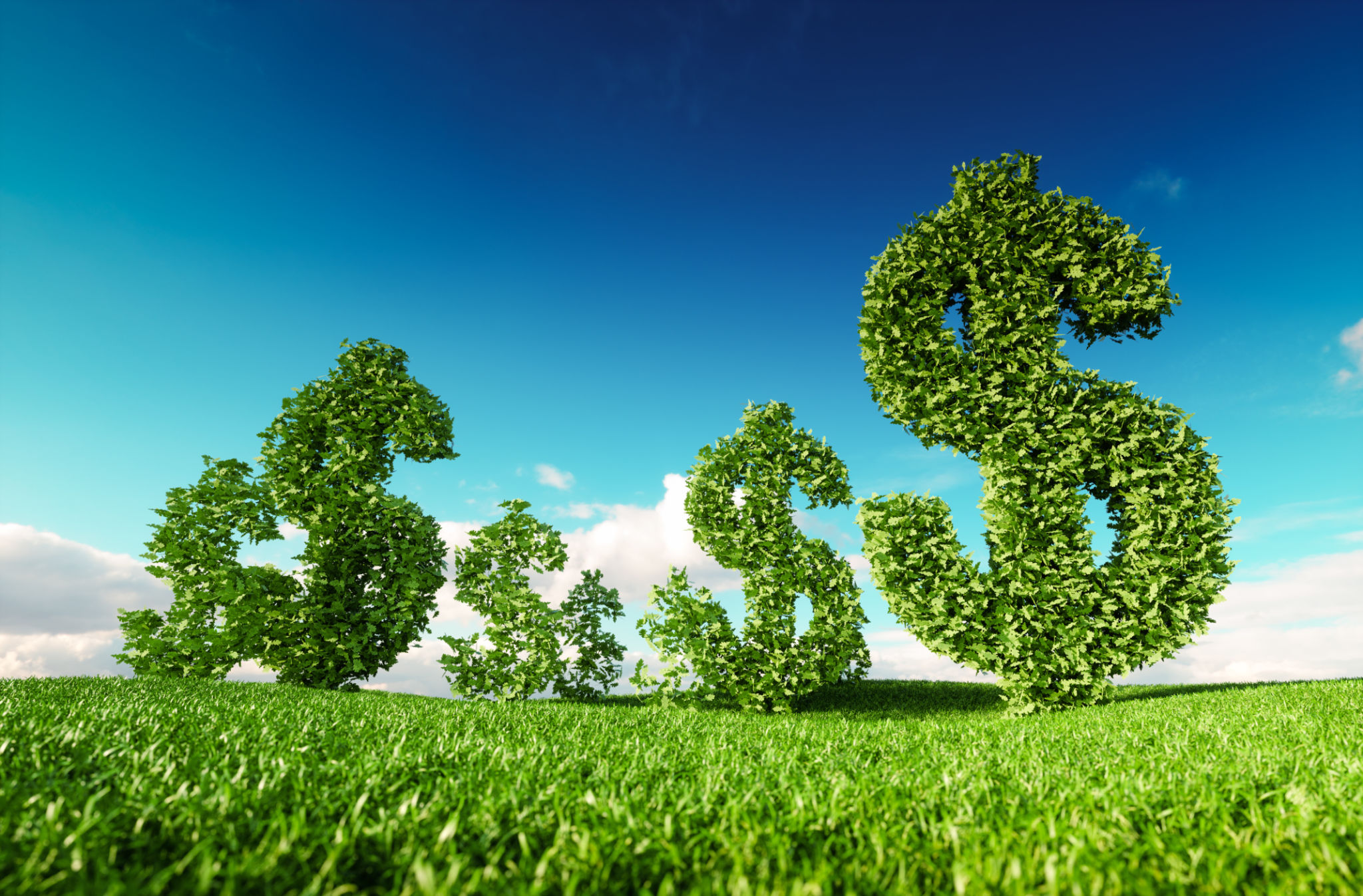 Eco friendly business, green profit, growing money and sustainable economy concept. 3d rendering of green dollar icon on fresh spring meadow with blue sky in background. Eco friendly business, green profit, growing money and sustainable economy concept. 3d rendering of green dollar icon on fresh spring meadow with blue sky in background.