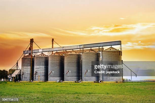 agricultural silos at sunset - 筒倉 個照片及圖片檔