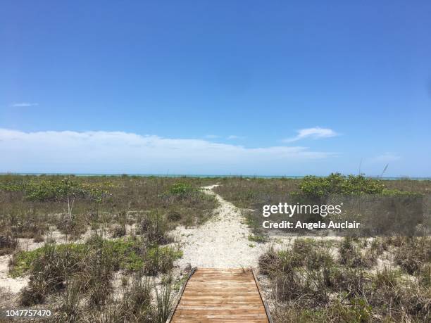 sanibel island natural beach - captiva island florida stock pictures, royalty-free photos & images