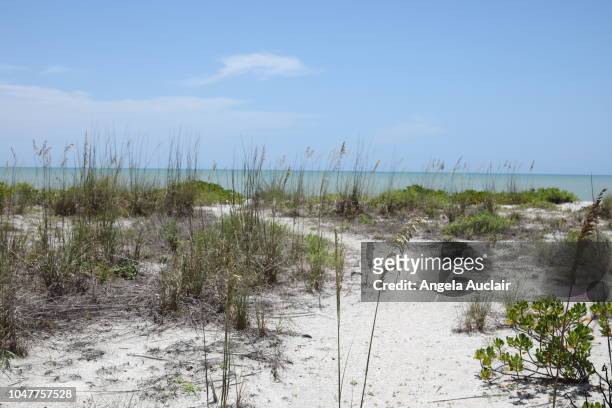 sanibel island natural beach - gulf shores alabama stock-fotos und bilder