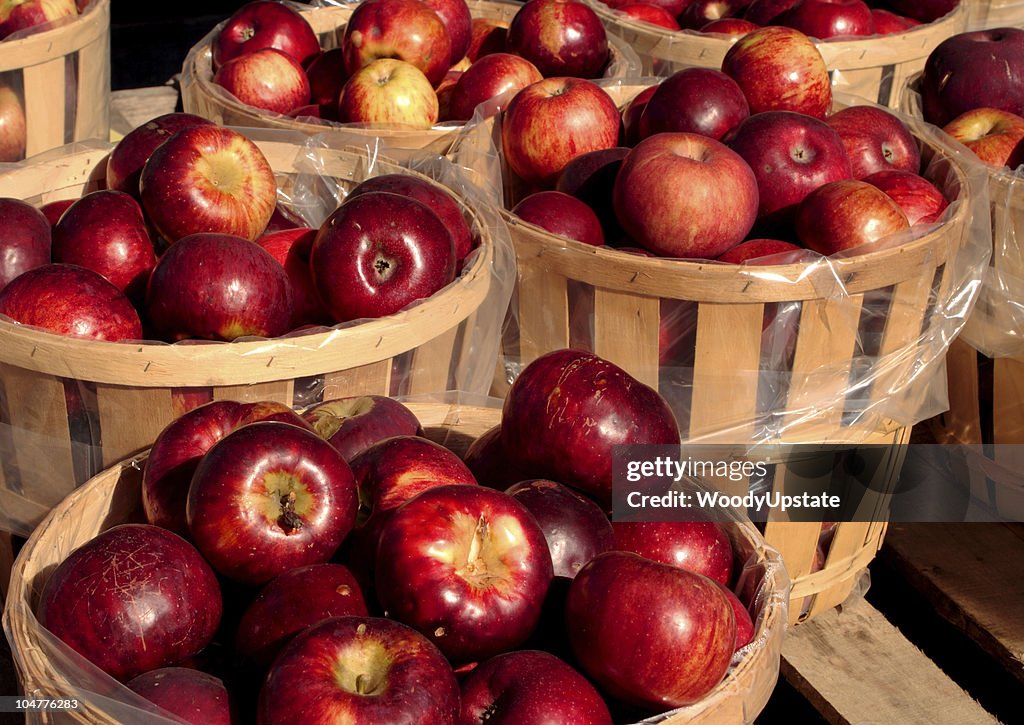 Apple harvest