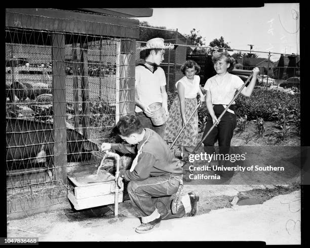 Raymond Avenue School Fair, 1 June 1954. Vickie Baird ;Judith Ann Richardson;Sally Lou Hughes;Wellington Mock;Billy Lamont (named best boy city...