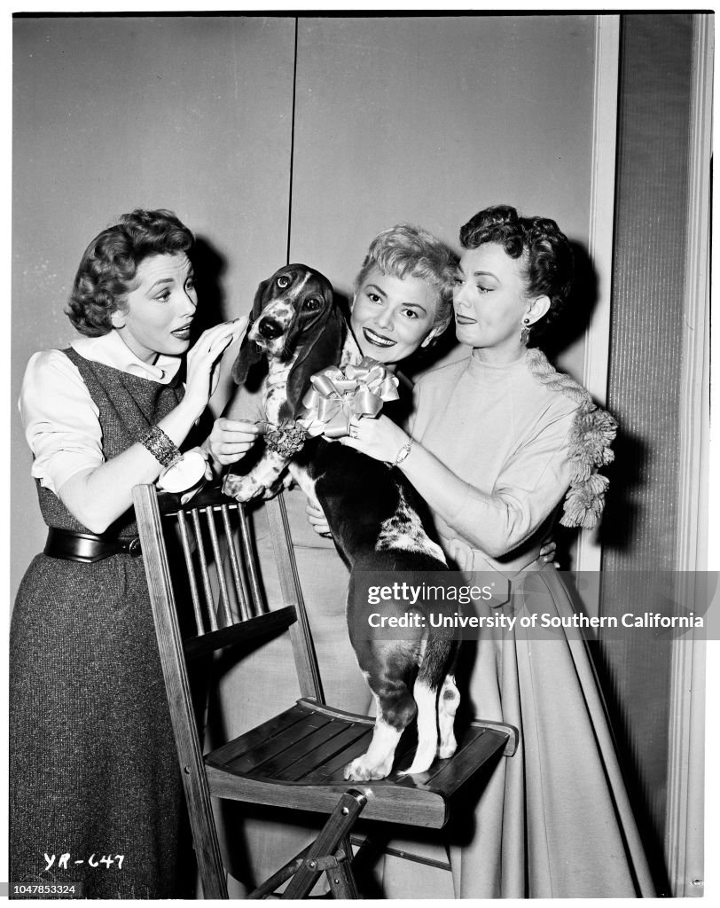 'Cleo' the talking basset hound on Jackie Cooper's TV