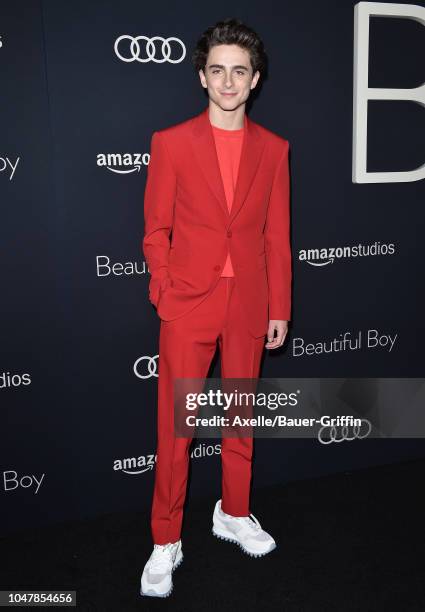 Timothee Chalamet attends Amazon Studios of Angeles Premiere of 'Beautiful Boy' at Samuel Goldwyn Theater on October 8, 2018 in Beverly Hills,...