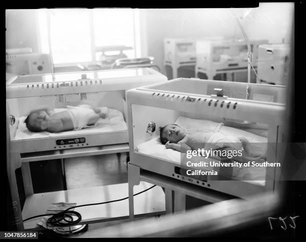 Edith Williams Edith Williams Photos and Premium High Res Pictures - Getty Images