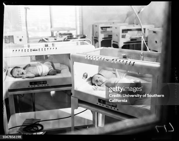 Edith Williams Edith Williams Photos and Premium High Res Pictures - Getty Images