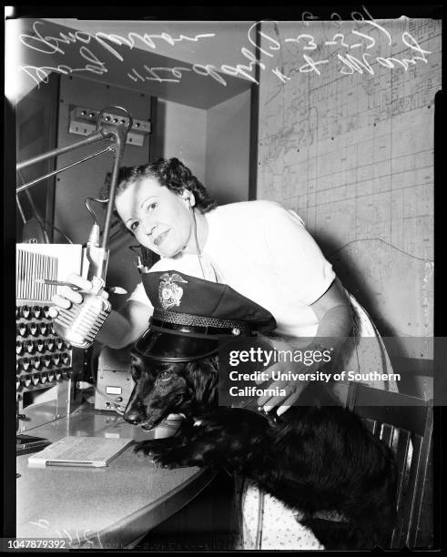 New police communications room for valley division, 03 July 1957. 'Teddy' press room mascot barking first call over new police radio system;Mary...