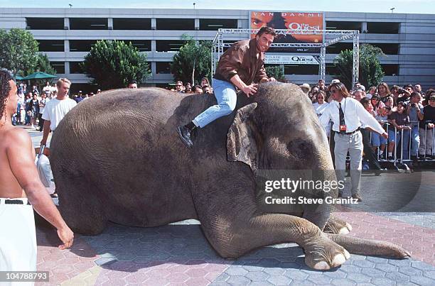 Jean-Claude Van Damme