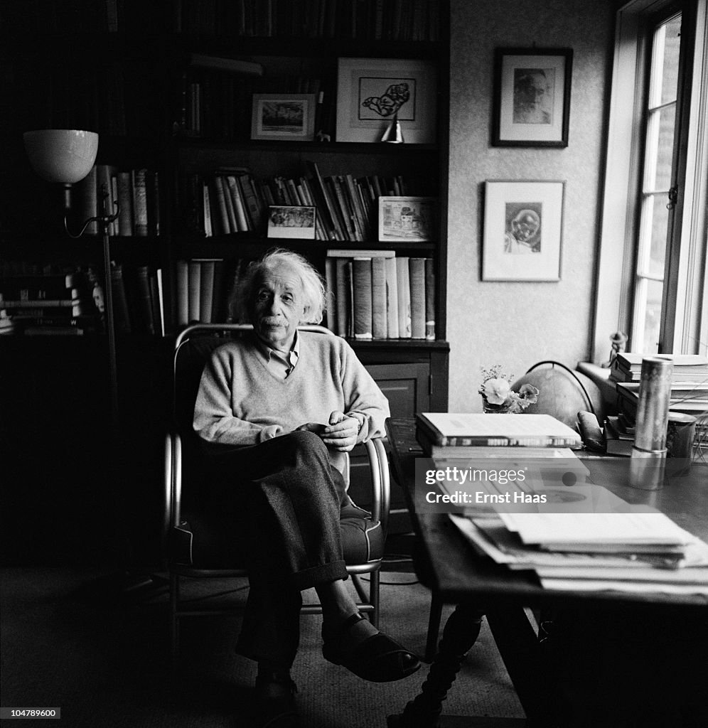 Einstein In His Study