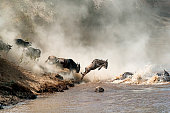 Wildebeest Leaping in Mid-Air Over Mara River