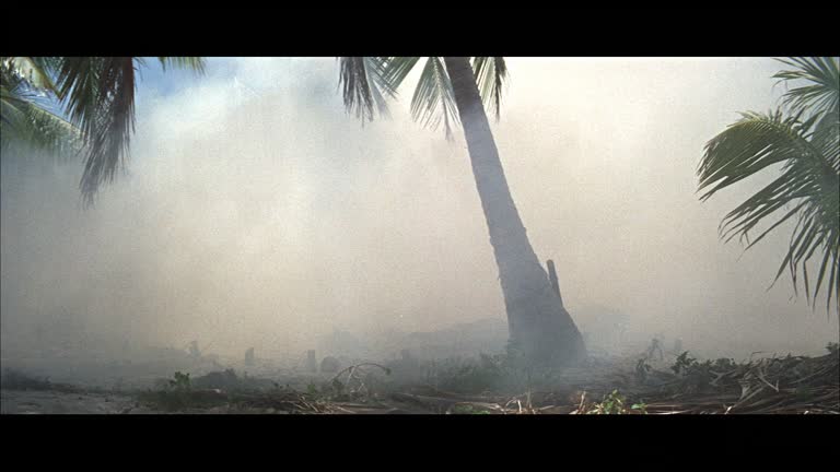 Exploding Tent 1,958 Military Tent Stock Videos, Footage, & 4K Video Clips - Getty Images
