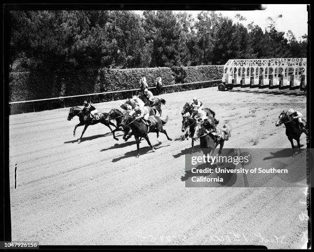 Horses -- Race -- Hollywood Park, 24 May 1958. First, second, and third races. 'Sports'. .;Caption slip reads: 'Photographer: Jensen. Date: ....