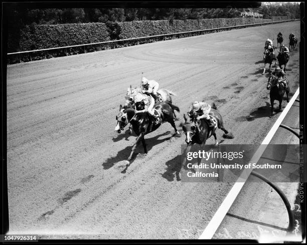 Horses -- Race -- Hollywood Park, 24 May 1958. First, second, and third races. 'Sports'. .;Caption slip reads: 'Photographer: Jensen. Date: ....