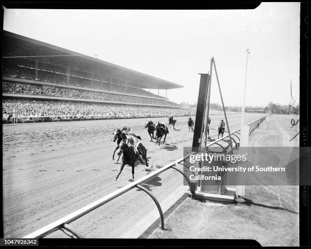 Horses -- Race -- Hollywood Park, 24 May 1958. First, second, and third races. 'Sports'. .;Caption slip reads: 'Photographer: Jensen. Date: ....