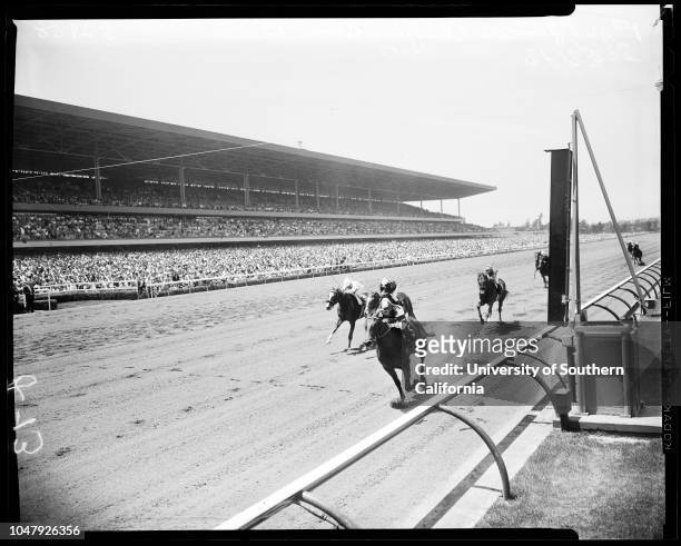 Horses -- Race -- Hollywood Park, 24 May 1958. First, second, and third races. 'Sports'. .;Caption slip reads: 'Photographer: Jensen. Date: ....