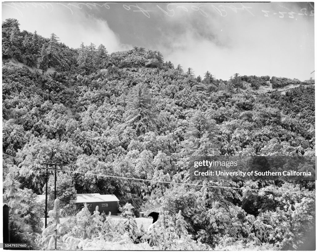 Snow on Angeles Crest Highway, 1959