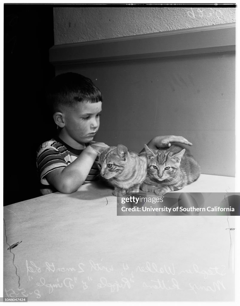 Long Beach cat show, 1951
