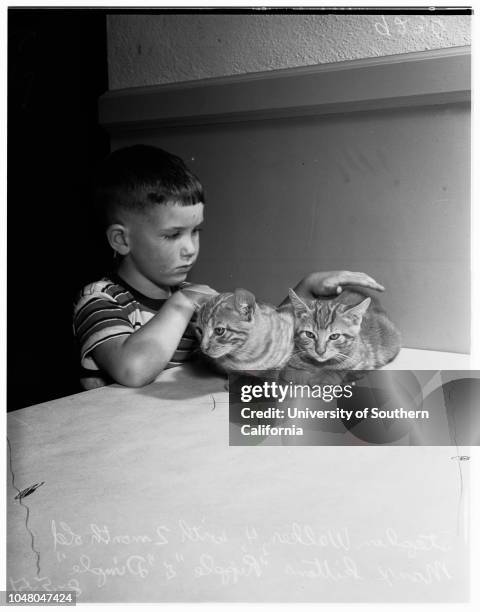Long Beach cat show, 5 August 1951. Stephen Walker -- 4 years;'Ripple' Manx kitten;'Dimple' Manx kitten.Long Beach.