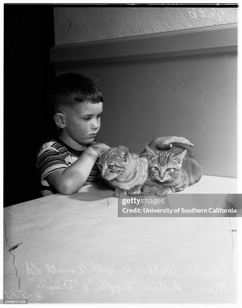 Long Beach cat show, 1951