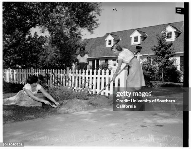 Cameron Woods Association for a Better Street , 31 July 1951. Mrs Mary Trembly;Mrs Katie Bucher;Mrs Ronnie Dysart.;More descriptive information with...