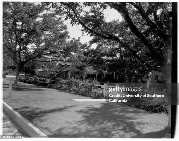 Cameron Woods Association for a Better Street , 31 July 1951. Mrs Mary Trembly;Mrs Katie Bucher;Mrs Ronnie Dysart.;More descriptive information with...