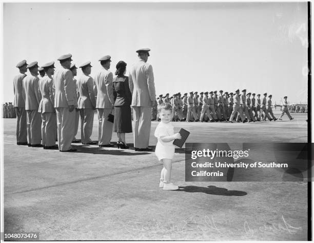 61 Sebille Stock Photos, High-Res Pictures, and Images - Getty Images