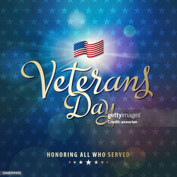 stockillustraties, clipart, cartoons en iconen met usa veterans day - veterans day