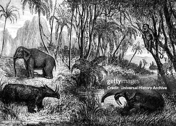 An engraving depicting a reconstruction of the Miocene period showing Dinotherium, Mastodon and Rhinoceros. Dated 19th Century.