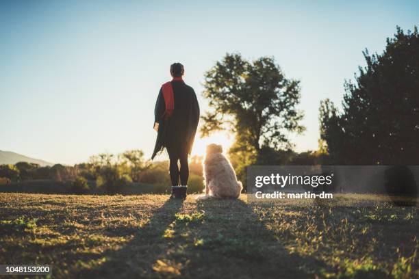 man's best friend - off leash dog park stock pictures, royalty-free photos & images