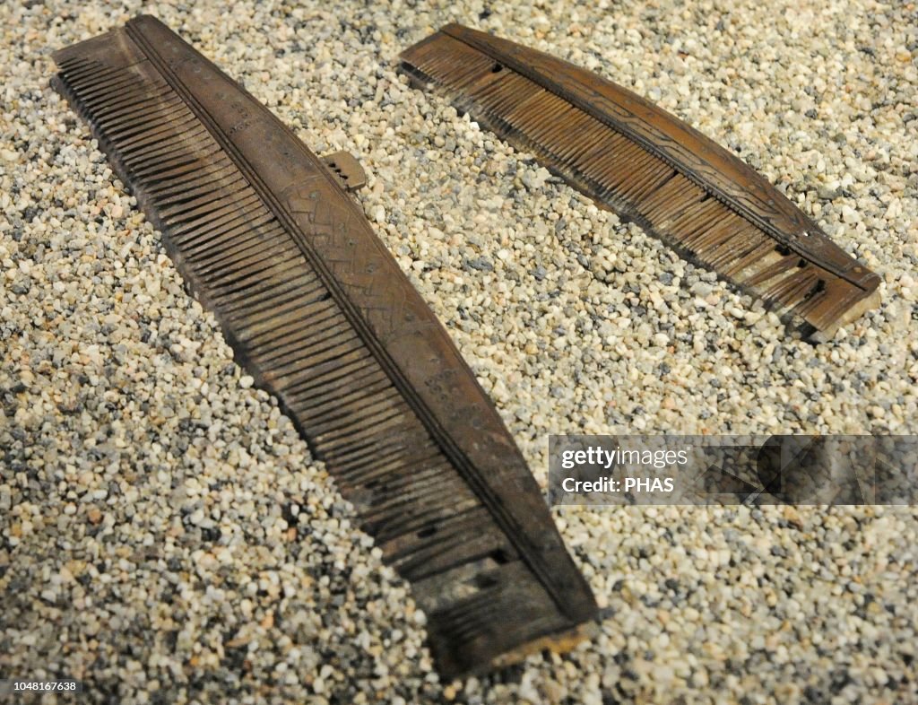 Two combs of horn found on a wood chest, 800-850 AD, found on the burial chamber of the Tomb of the Oseberg Ship