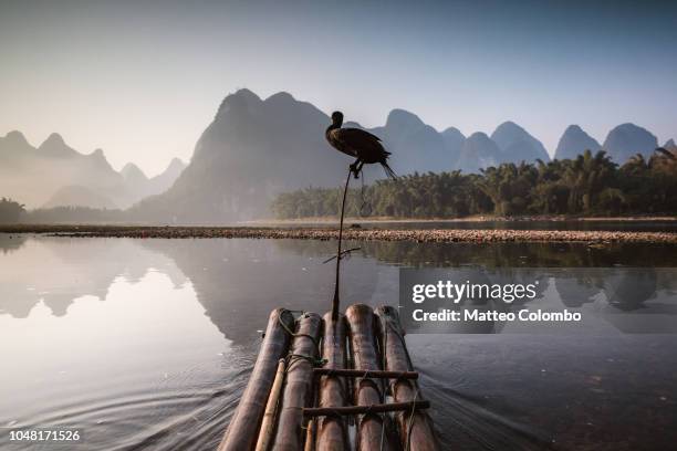 bamboo raft with cormorant, li river, china - li river stock pictures, royalty-free photos & images