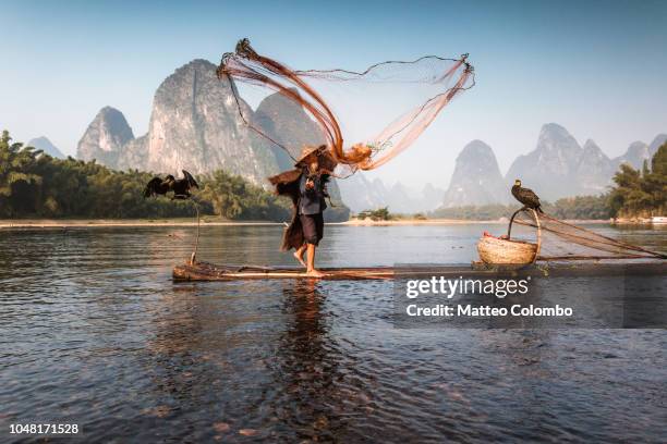 old chinese fisherman throwing net, china - guangxi 個照片及圖片檔