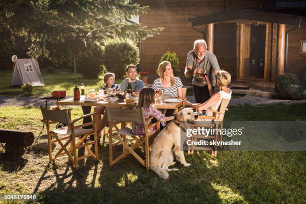 familie mittagessen im hinterhof! - dog eats out girl stock-fotos und bilder