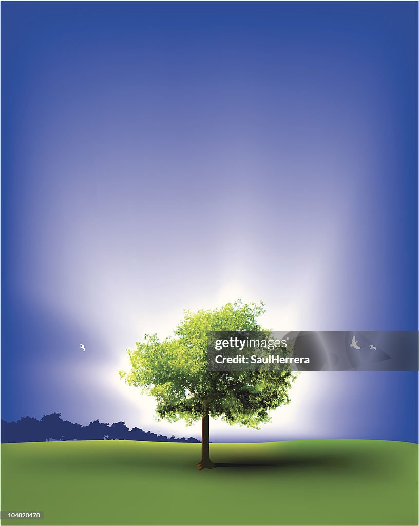 Helle & natürlichen