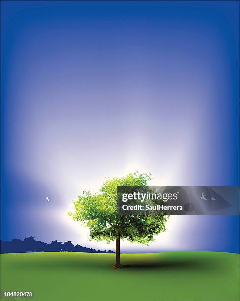 bright & natural - patchwork landscape stock illustrations