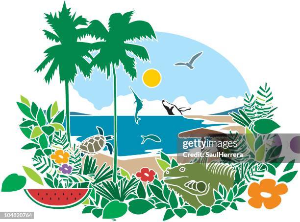 tropical bahia & beach - marlin stock illustrations