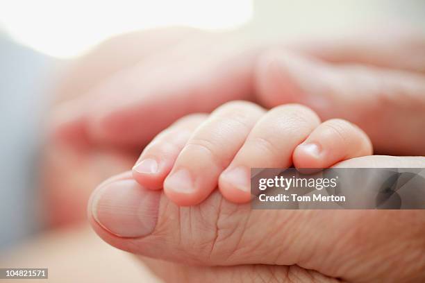 nahaufnahme der großvater hält baby hand - beschützer stock-fotos und bilder