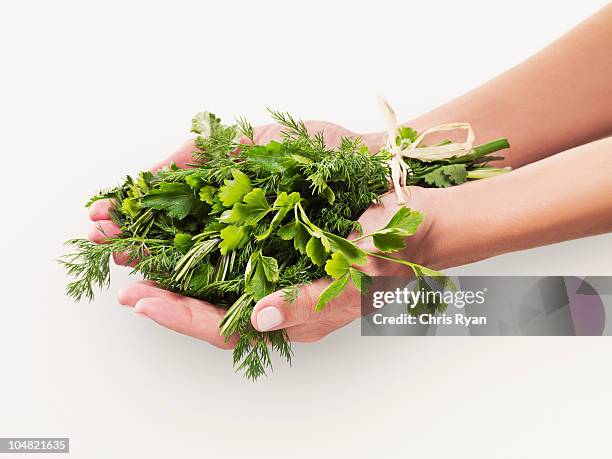 frau holding bouquet von kräutern - parsley stock-fotos und bilder