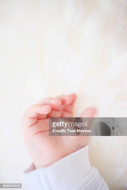 手のクローズアップ babys のラグ - baby hands ストックフォトと画像