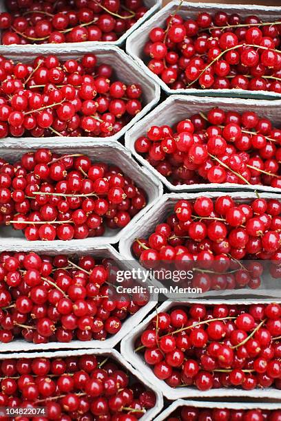 baskets of red cranberries - fruit carton stock pictures, royalty-free photos & images