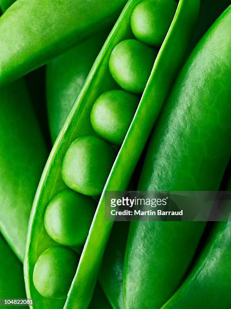 close up of peas in pea pod - ärtskida bildbanksfoton och bilder