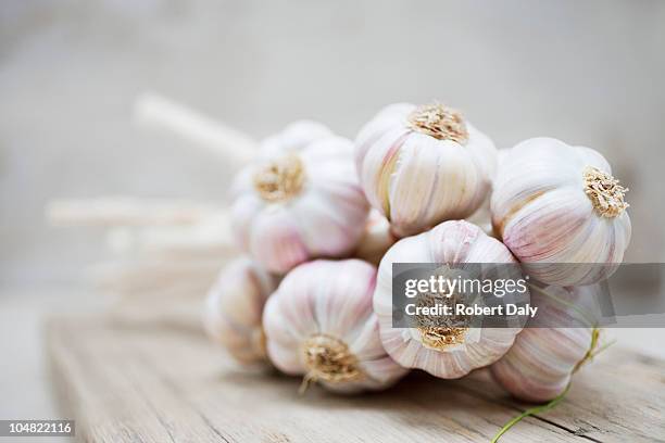 close up of purple garlic bunch - knoflook stockfoto's en -beelden