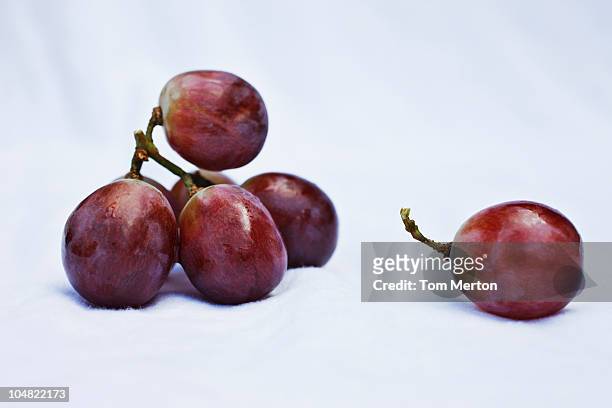 close up of grapes - red grapes stock pictures, royalty-free photos & images